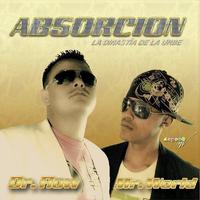 Absorcion Binacional photo