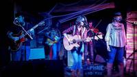 Daphne & the Mystery Machines / Daphne Culver Live photo
