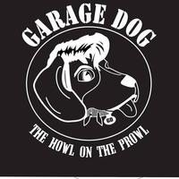 Garage Dog photo