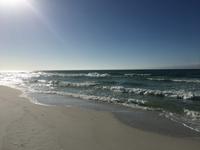 Susan Calderazzo photo