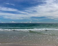 Susan Calderazzo photo