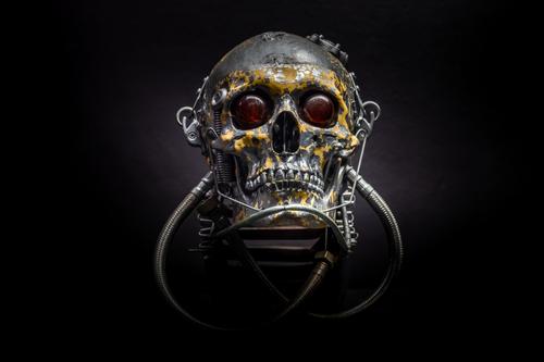 Profile photo AdobeStock_416539849.jpeg