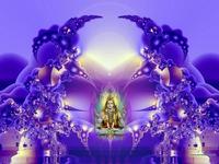 Lee Negin photo