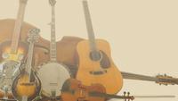 Honky Blue Tonky photo