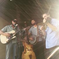 Honky Blue Tonky photo