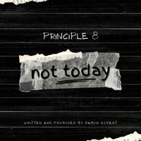 Principle 8 photo