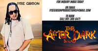 IYSE GIBSON photo
