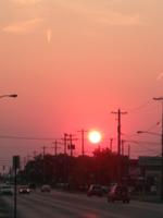 Wordz photo