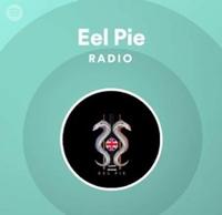 EEL PIE photo