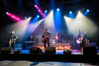 Falling Doves photo
