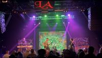 Purple Monkey photo