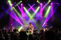 The Why Store photo