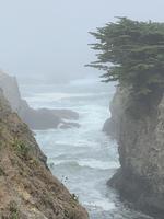 donlawson photo