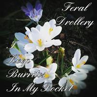 Feral Drollery photo