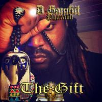 D Gambit Pharaoh photo