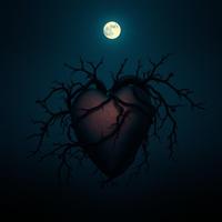 MoonshadowMusic photo