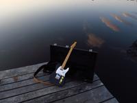 The Blue Mountain Project photo