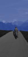 The Blue Mountain Project photo