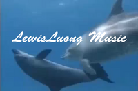 David Luong photo