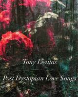 Tony Levitas photo