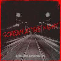 The Wild Spirits photo