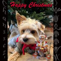 Chanssez' photo
