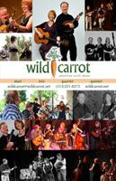Wild Carrot photo