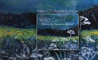 Wild Carrot photo