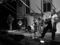 Sick Monkey photo
