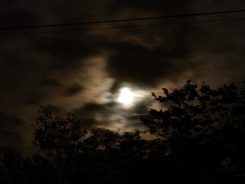 Profile photo 1383143583_Supermoon1.jpg