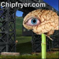 Chipfryer photo
