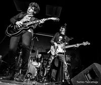 The Foxholes photo