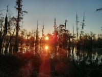 Steve Conover photo