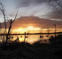 Steve Conover photo