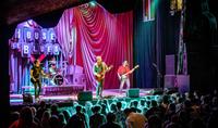 Joe Hero - Foo Fighters Tribute photo
