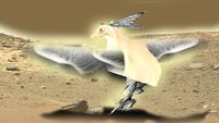 XERXEESE photo