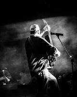 Bernie Williams photo