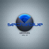 sectorblue photo