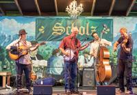 Hot Pickin 57s photo