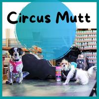 Circus Mutt photo