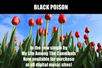 My Life Among The Cannibals photo