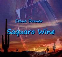 Steve Domer photo