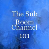 The Sub Room photo