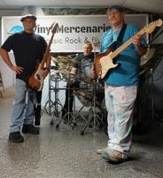 Vinyl Mercenaries photo