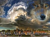Mark Allan Wolfe photo
