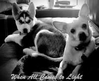 Dark to Light photo
