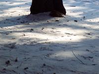 Cameron Cates photo