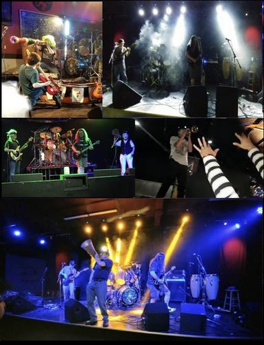 Profile photo Screenshot_20240810_131440_Gallery.jpg