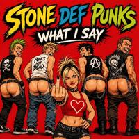 Stone Def Punks photo
