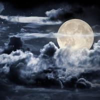 Darren Worth photo